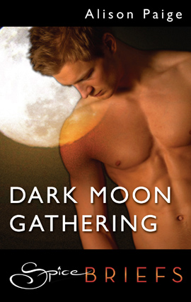 Title details for Dark Moon Gathering by Alison Paige - Available